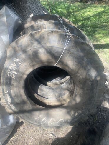 шина на рх: Шины — 1