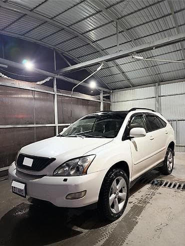 Lexus RX: 2004 г., 3.3 л, Автомат, Бензин, Внедорожник