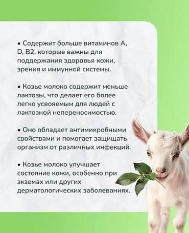 купить перепелок: Козье молоко - Натуральный продукт с повышенным содержанием витаминов — 1