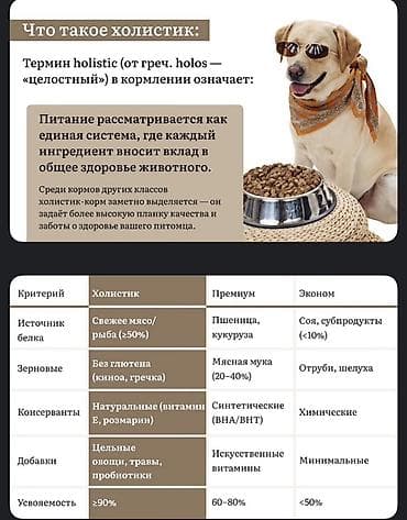GRANDORF SPRAT Holistic — сухой корм для взрослых собак средних и — 2