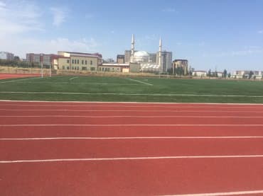 сколько стоит футбольный газон: Резиновое покрытие для беговых дорожек монтаж резинового — 8