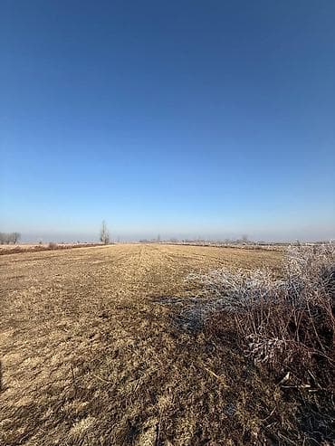 посевная земля: 280 соток, Для сельского хозяйства, Договор купли-продажи — 3