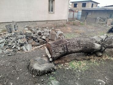 дрова тополь: Дрова Орех, Самовывоз — 6