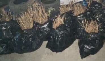 полка стекло: Малина Оптом, Самовывоз — 2