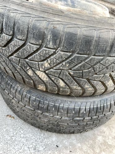 шины на рекс: Шины — 4