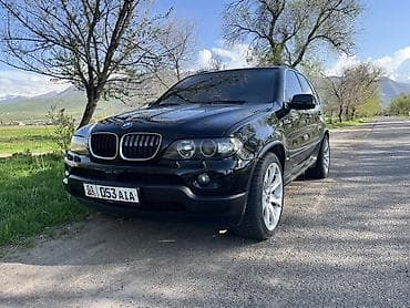 BMW X5: 2002 г., 4.4 л, Типтроник, Бензин, Кроссовер — 5