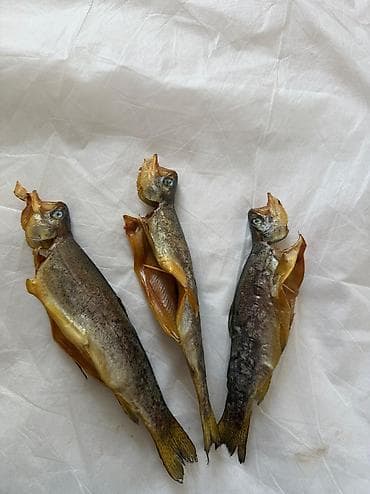 ярки матки: Форель холодного копчения со скважины Вкусная оптом и в розницу — 2