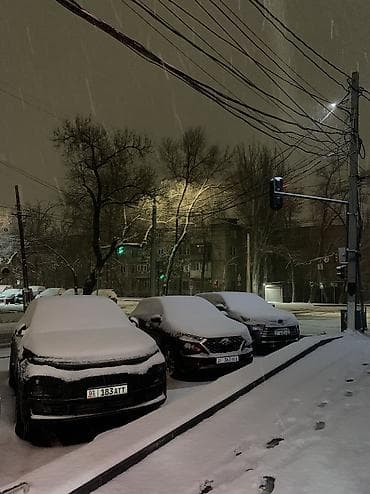 Башка курстар: Айдоочулук курстар | (B), (C) | Жеке инструктор — 1