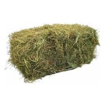 продаю связи с переездом: Сено в тюках (прямоугольный тюк). - Кормовая трава, спрессованная в — 1