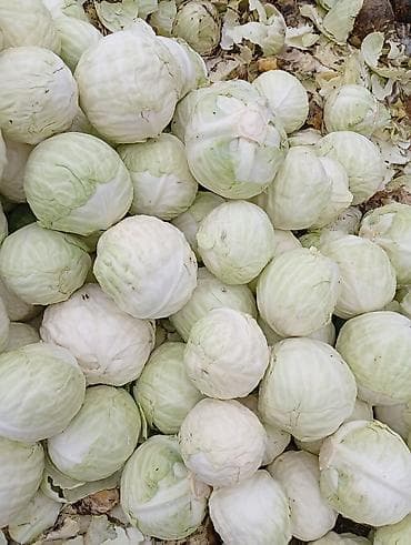 Соусы и специи: Капуста Белокачанная — 3