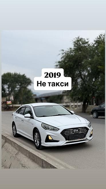 Продажа авто: Hyundai Sonata: 2019 г., 2 л, Автомат, Газ, Седан — 1