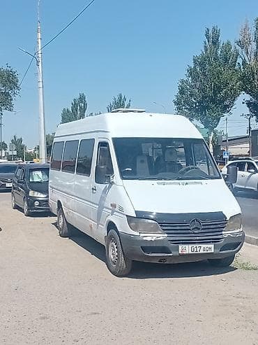 sprinter 516: Mercedes-Benz Спринтер: 2002 г., 2.9 л, Бус — 1