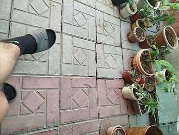 выкуп велосипед: Подростковый велосипед — 3