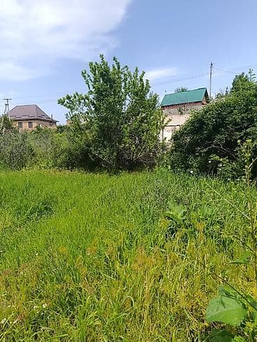 Недвижимость: 5 соток, Для строительства, Красная книга — 4