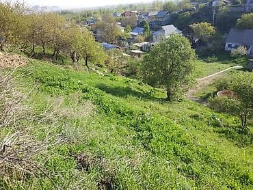 участок ала бука: 471 соток, Для строительства, Красная книга — 1