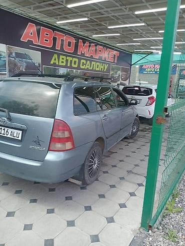 электрик гибрид: Toyota Corolla: 2004 г., Механика, Бензин, Универсал — 3