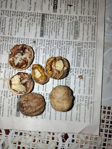 цена сухофруктов: Крупный тонкокорые,светлый в нутри и с наружи — 4