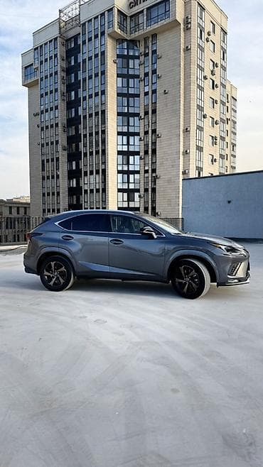 lexus nx 200: Lexus NX: 2020 г., 2 л, Автомат, Бензин, Кроссовер — 5