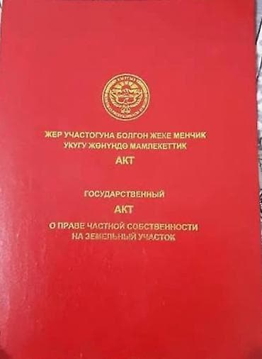 дом с участком: 4 соток, Для бизнеса, Красная книга, Тех паспорт, Договор купли-продажи — 1