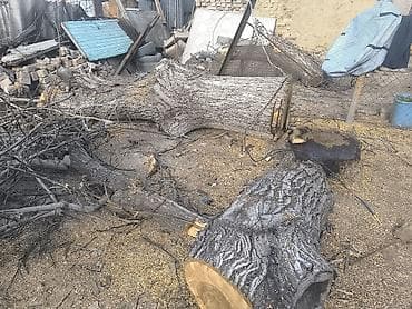 куплю дрова недорого: Дрова Самовывоз — 4