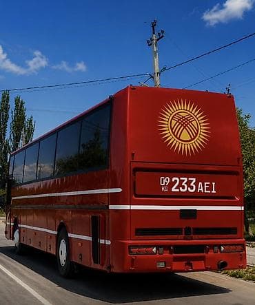 49: Автобус, DAF, 40 и более мест — 2