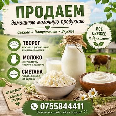 Азык-түлүктөр: Совхоз Фрунзе Домашняя молочная продукция из деревни — свежее — 1