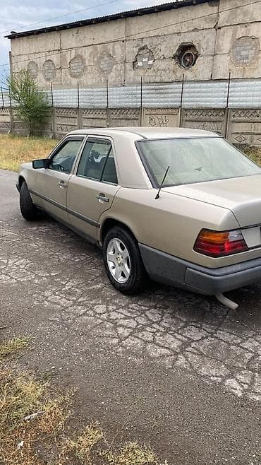 s 350: Mercedes-Benz W124: 1987 г., 2.3 л, Механика, Бензин, Седан — 4
