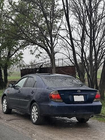 Продажа авто: Toyota Camry: 2004 г., 2.4 л, Автомат, Бензин, Седан — 5