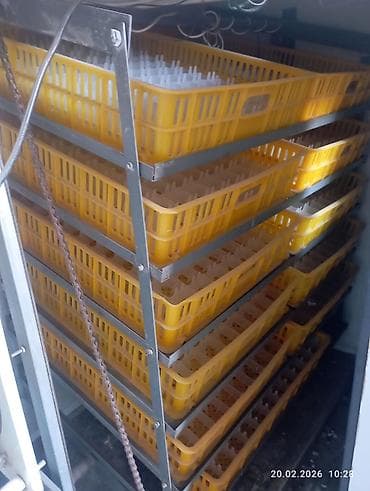 Оборудование для производства: Инкубатор автоматический с компьютерным управлением Описание: - — 4