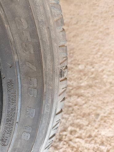 mishelin: Шины 255 / 55 / R 18, Лето, Внедорожные (АТ/МТ), Франция, Michelin — 3