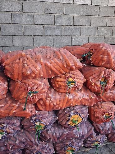 Кукуруза В розницу