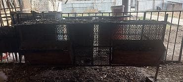 Ветеринар кызматы: Кролятник - Каркас из металла, секционный. - Передние стенки из — 2