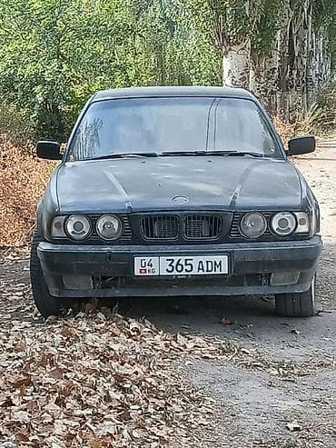bye e5: BMW 5 series: 1994 г., 2.5 л, Механика, Дизель, Универсал — 4