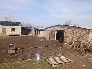 участок старый талчок: 30 соток, Для бизнеса, Красная книга — 4