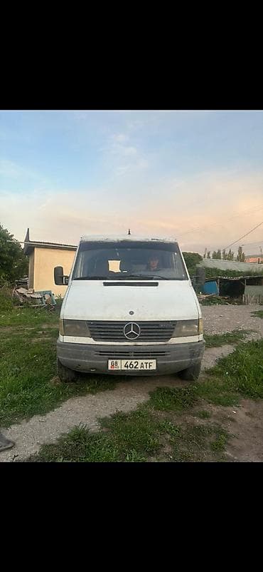 byd leopard 5: Легкий грузовик, Mercedes-Benz — 1