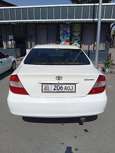 Транспорт: Toyota Camry: 2004 г., Седан — 1