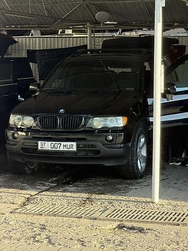 BMW X5: 2003 г., 4.4 л, Автомат, Бензин, Кроссовер