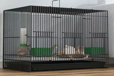 переноски для кошек бишкек: Клетка для хомяка или свинки. Новая. Также в наличии хомяки: сирийцы — 5