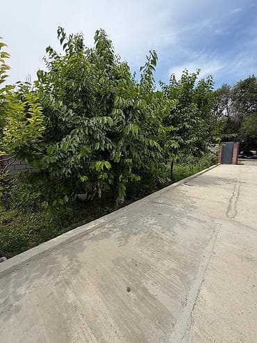 🏡 Продаётся дом в районе Сокулук 📍 Участок — 11 соток ✅ Свет и вода — 7