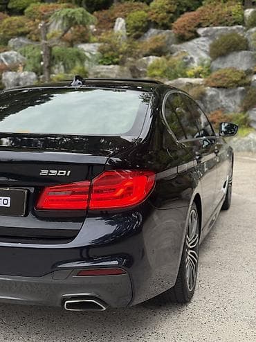 smart plus: BMW 5 series: 2019 г., 2 л, Автомат, Бензин, Седан — 9