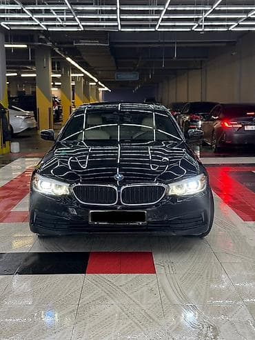 BMW 530: 2019 г., 2 л, Автомат, Бензин, Седан