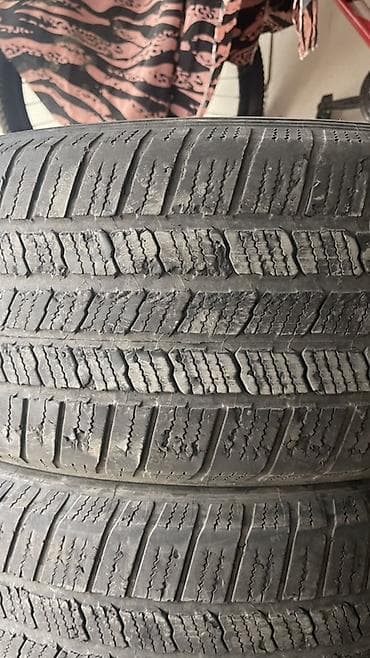 шины 245 55 r19: Шины 245 / 55 / R 19, Лето, Б/у, Комплект, Внедорожные (АТ/МТ), Франция, Michelin — 5