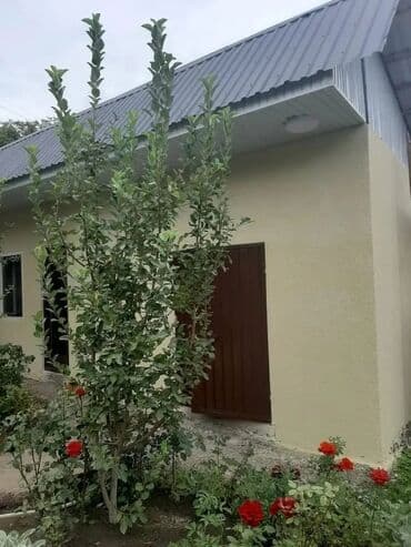 дом в сокулуке районе рэс: Дача, 40 м², 3 комнаты, Собственник, Косметический ремонт — 20