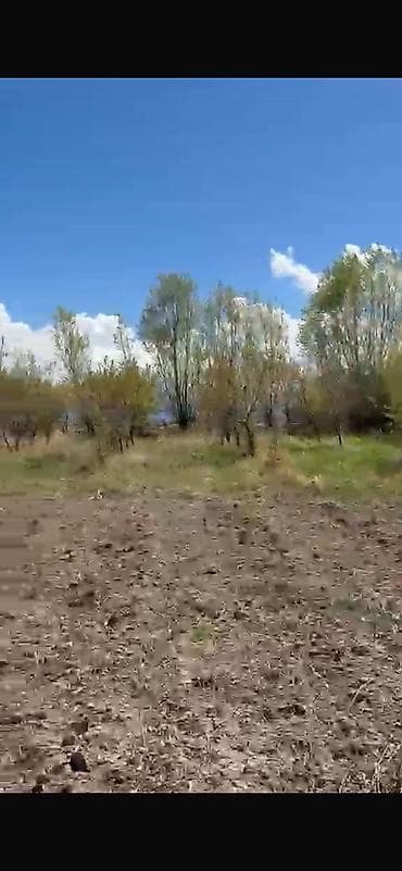 уч: 20 соток, Айыл чарба үчүн, Кызыл китеп — 4