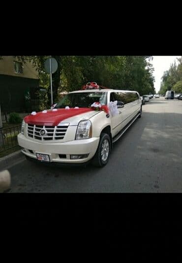 дом на колёсах бишкек аренда: Хорошие, свежепригнанные машины, не прокуренные, чистые с адекватным — 14