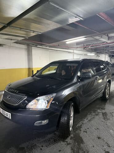lx 460: Lexus RX: 2004 г., 3.3 л, Автомат, Бензин, Кроссовер — 7