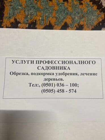 садовник охранник: Услуги профессианального садовника ! Обрезка Подкормка Лечение — 1