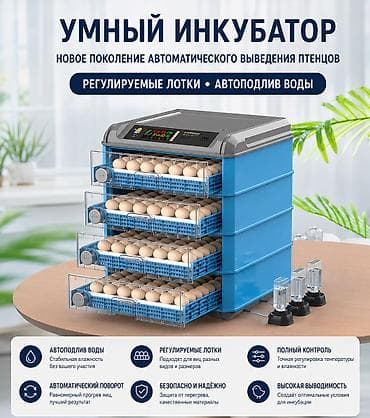 магазинный холодильник: 🔥 Умные инкубаторы нового поколения 🔥 ✅ Вместимость от 6 до 500 яиц ✅ — 1