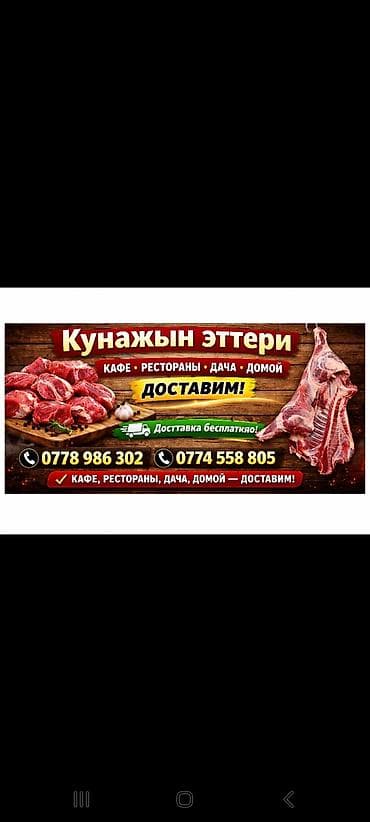цеплята несушки: Кунайжын эттери — свежее мясо для кафе, ресторанов, дачи и домой. Что — 1