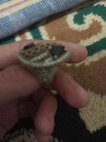 железный турба: Кольцо, Унисекс — 4